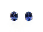 Tanzanite Stud Earrings